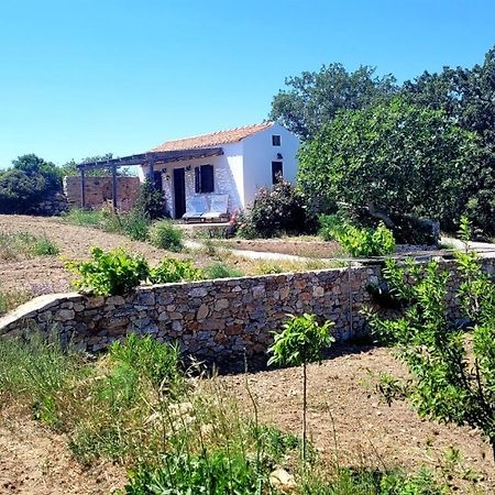 Villa The Pigeon House Potamos  Esterno foto