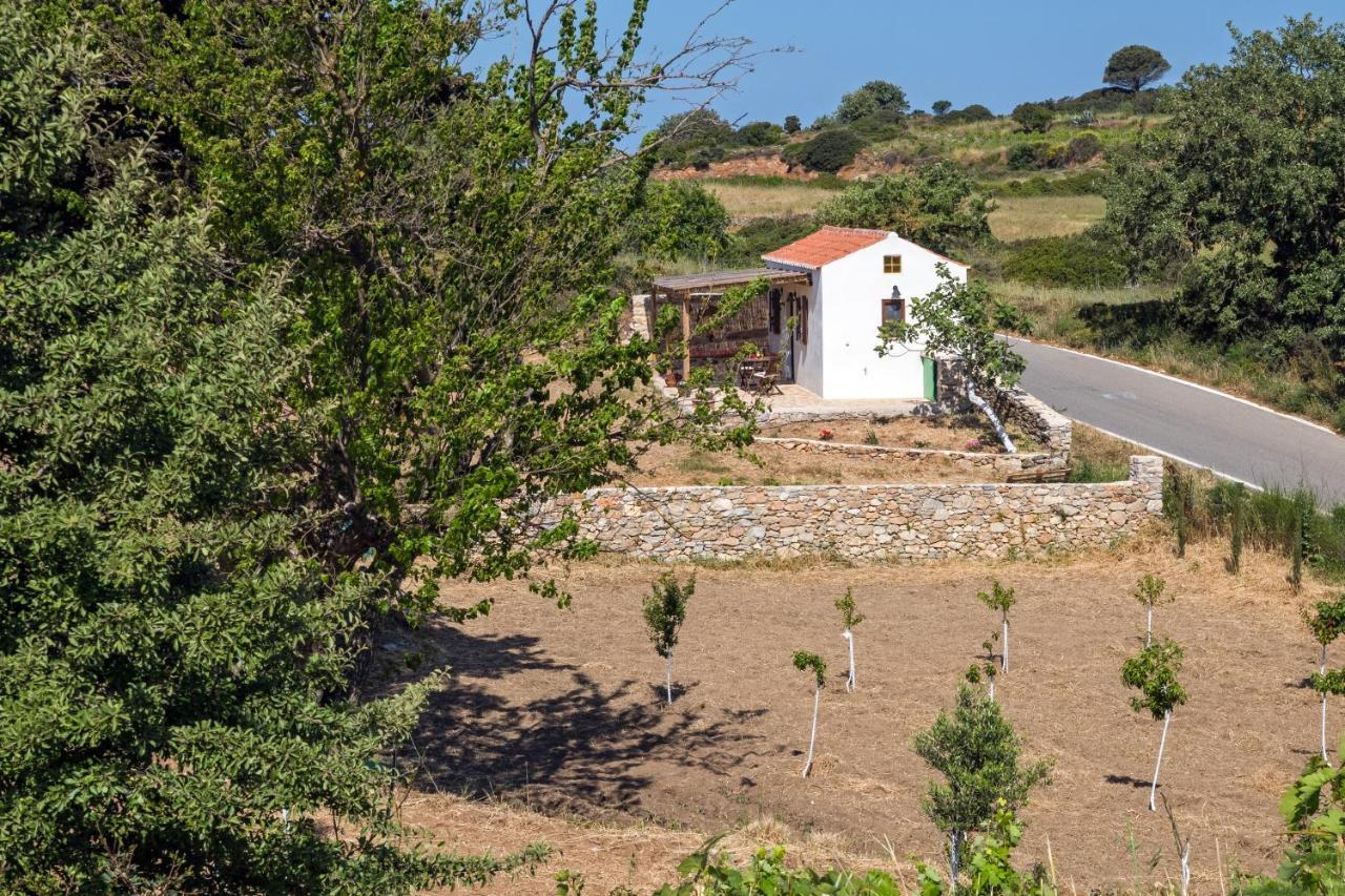 Villa The Pigeon House Potamos  Esterno foto