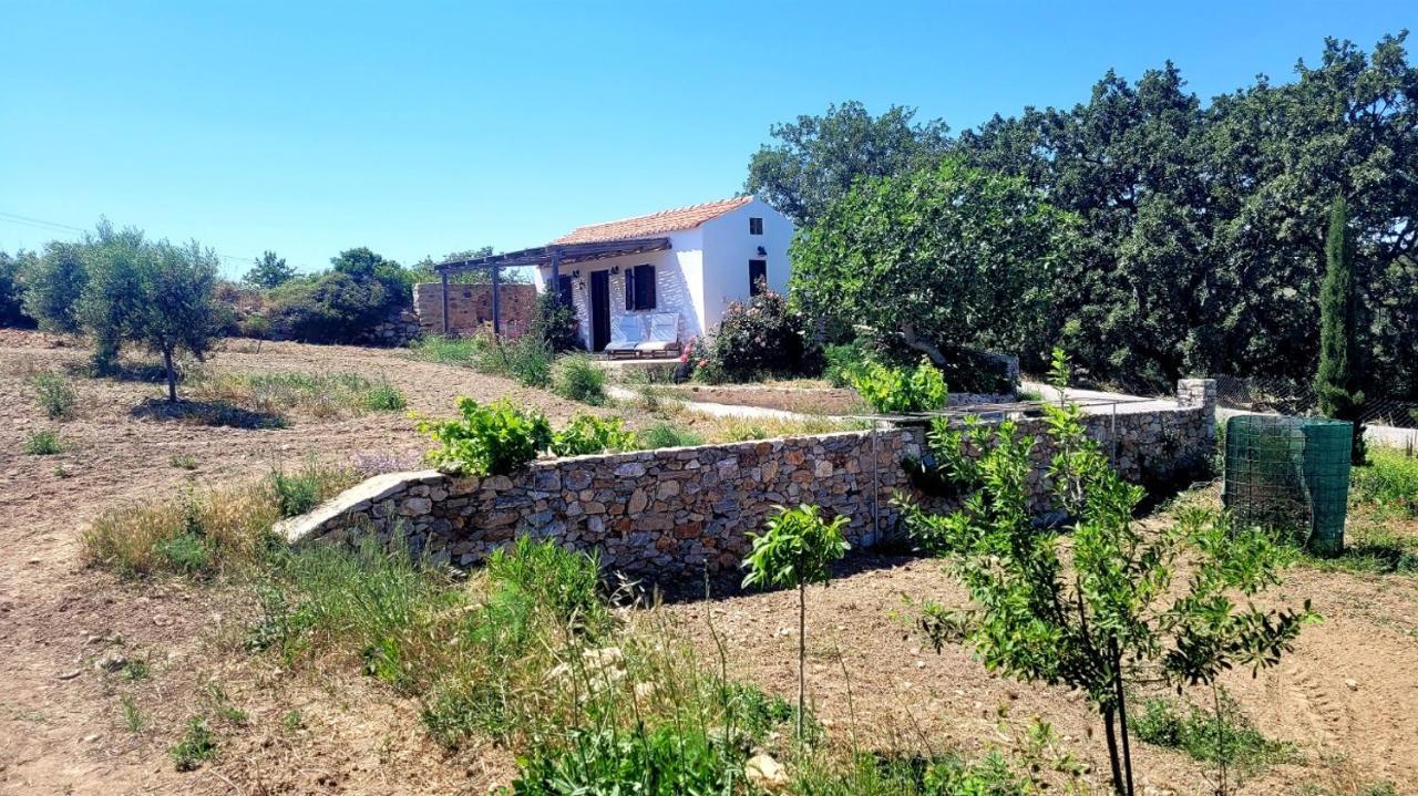 Villa The Pigeon House Potamos  Esterno foto